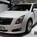 赏金大对决:成功背后的努力与坚持 514knpz