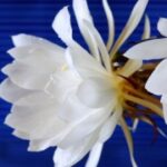 赏金女王app下载:适合学生的兼职赚钱平台 f0tq1xz9c