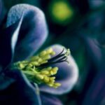 赏金大对决:一次难忘的成长与蜕变之旅 ql3nzygl7