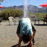 赏金大对决:团队协作与个人能力的平衡 zkhnn